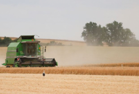  Bauern rechnen mit weniger Getreide - Preise gefallen 