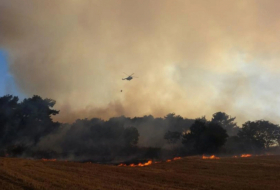   In mehreren Provinzen der Türkei brennen Wälder  