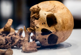   Erstmals lebende Verwandte zu Schädeln aus Ostafrika gefunden  