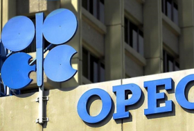  OPEC geht davon aus, dass die weltweite Ölnachfrage im Jahr 2023 steigen wird 