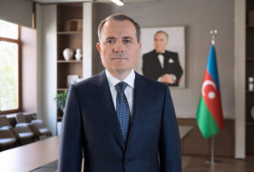     Außenminister:   „Aserbaidschan setzt sich für die schnellstmögliche Wiederaufnahme der Friedensgespräche ein“  