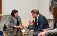   Aserbaidschan und Deutschland erwägen die Entwicklung interparlamentarischer Beziehungen  