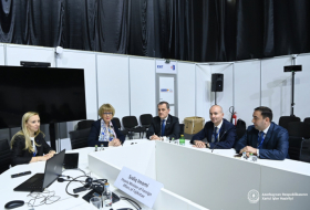   Aserbaidschanischer Außenminister erörtert regionale und internationale Sicherheitsfragen mit OSZE-Generalsekretärin  