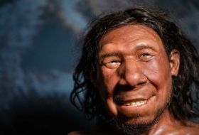   Machen Neandertaler-Gene zum Frühaufsteher?  