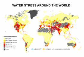   Was ist „Wasserstress“ und können wir ihn loswerden? –   Videocast    
