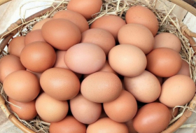   Aserbaidschan lieferte 306.000 Eier nach Russland  