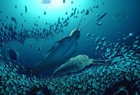 Schreckenswurm beherrschte die Urzeit-Meere