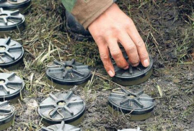   Zahl der im vergangenen Jahr in Aserbaidschan durch Landminen getöteten und verletzten Menschen wurde bekannt gegeben  