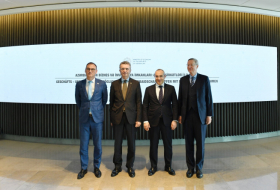   Aserbaidschan und Deutschland diskutieren über die Umsetzung gemeinsamer Projekte  