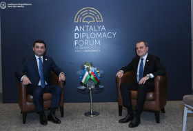   Usbekischer Außenminister gratuliert Aserbaidschan zur Durchführung der COP29  