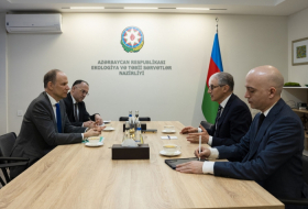   Aserbaidschan und Schweiz diskutieren über die COP29-Vorbereitungen  