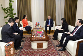   Aserbaidschan und China begrüßen große Aussichten auf eine für beide Seiten vorteilhafte Zusammenarbeit  