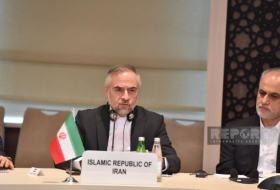     Stellvertretender Generalstaatsanwalt des Iran:   Kaspische Staaten müssen die Artenvielfalt des Meeres schützen  