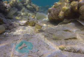  Wie viel Plastikmüll liegt auf dem Meeresgrund? 