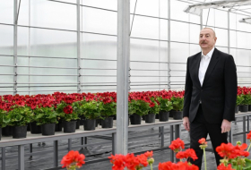   Ilham Aliyev lernte den Bau des Ökoparkkomplexes in Gandscha kennen   - FOTOS    