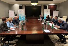   Aserbaidschan und IRENA erwägen Aussichten für eine Zusammenarbeit  