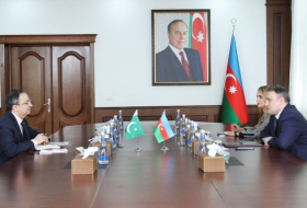   Aserbaidschan und Pakistan erwägen Zusammenarbeit in der Verteidigungsindustrie  