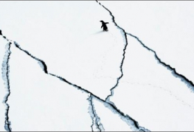 Forscher warnen von irreversiblem Abschmelzen der Antarktis