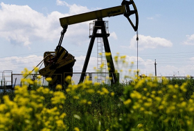 Moskau, Riad und OPEC-Länder einig über Einfrieren der Ölförderung – Energieminister