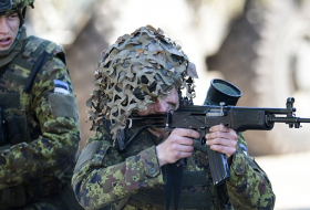 Gemäß dem Wiener Dokument: Russland und Nato prüften estnische Verteidigungskräfte