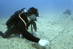 Chinesischer Unterwasserroboter taucht bis zu 5700 Meter tief