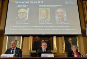 Physik-Nobelpreis für den Nachweis von Gravitationswellen