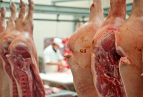 Fleischproduktion in Deutschland erreicht 2015 neuen Rekordstand
