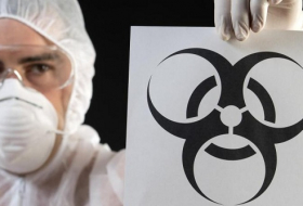 Vor diesen Viren haben Forscher große Angst