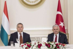 Trotz EU: Türkei will enge Wirtschaftsallianz mit Ungarn