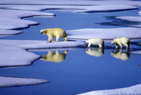 Shell gibt Bohrrechte in der Arktis auf
