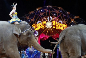 Berühmter US-Zirkus verzichtet künftig auf Elefanten