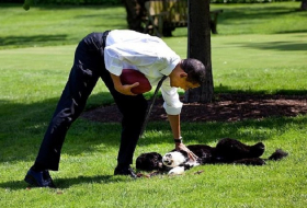 “First Dog“: Obamas Hund Bo vor Entführung bewahrt
