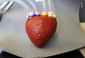 Erstes künstliches Herz aus Schaumstoff entwickelt