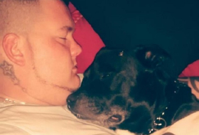 Hund rettet Herrchen vor Selbstmord – und stirbt dann selbst