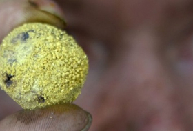 Raubbau in Südamerika: Goldminen sind das neue Kokain
