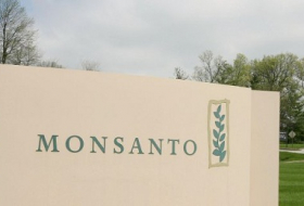 US-Agrarkonzern: Bayer bietet 62 Milliarden Dollar für Monsanto
