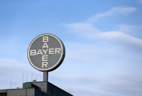 Bayer will keinen genveränderten Mais