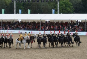 Reiche Geschichte der aserbaidschanischen Pferdezucht kehrt nach Windsor zurück