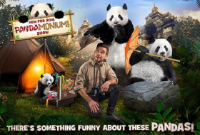 Skurilles Jobangebot: Britischer Zoo sucht “faule Menschen“ als Panda-Darsteller