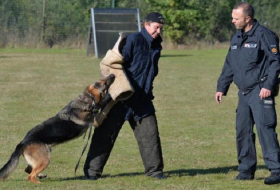 Schadenersatz nach Biss von Polizeihund